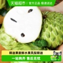 释迦果新鲜现摘水果牛奶凤梨释迦佛头果番荔枝当季 直发特大果