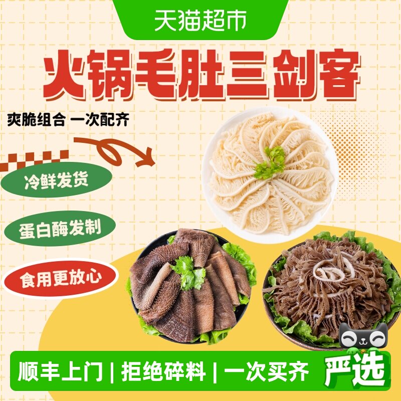 小龙坎大条毛肚白千层黑千层天然