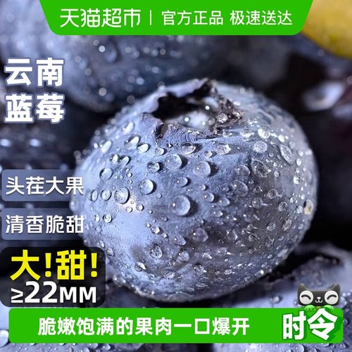 云南蓝莓高山花香蓝莓大果