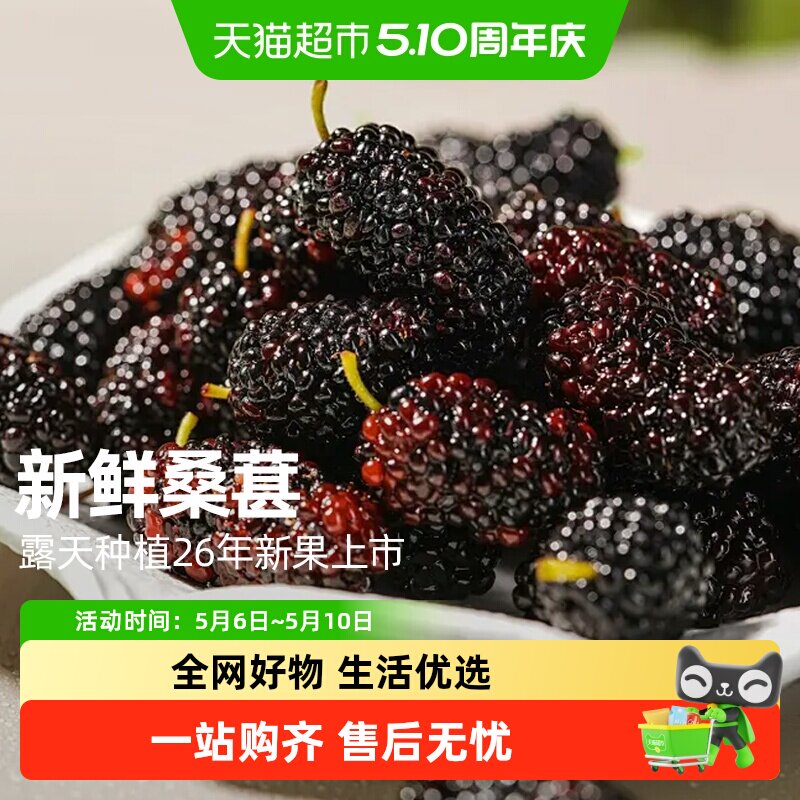 顺丰上门四川新鲜黑桑葚水果大凉山桑椹现摘即食应季泡酒长条超大