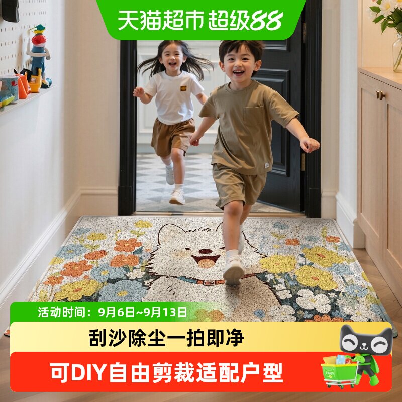 大江入户地垫门口玄关脚垫地毯图片