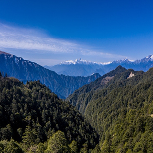 索道 门票 观光车 大门票 观光车往返票 索道往返票 王岗坪国际生态旅游度假区