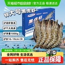 国联鲜活超大黑虎虾无冰速冻老虎虾斑节虾竹节虾