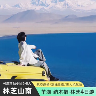 西藏旅游林芝来古冰川羊卓雍措纳木措圣象天门拉萨出发纯玩跟团