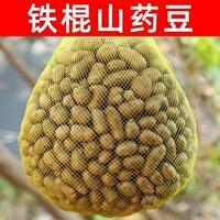 農(nóng)家新鮮采摘鐵棍山藥豆冰糖葫蘆用豆山藥蛋地道優(yōu)質(zhì)產(chǎn)地直發(fā)現(xiàn)挖