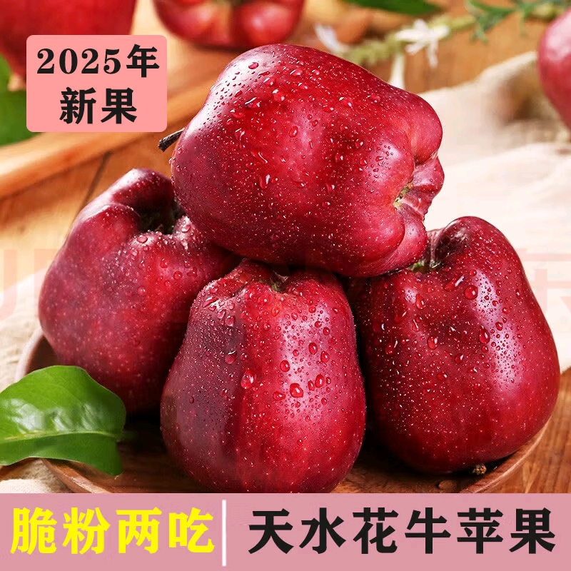 甘肃天水花牛苹果粉面苹果新鲜包邮当季红蛇果宝宝刮果泥脆粉两吃