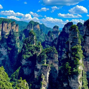 [张家界国家森林公园-4日门票+三索一梯多程（不限次）联票][刷身份证入园武陵源景区订票