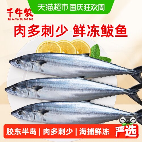 千牛农胶东半岛鲅鱼海捕生鲜鱼类