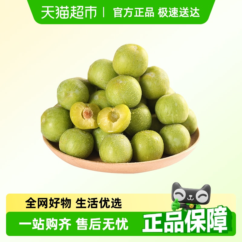 巫山脆李离核鲜李子酸甜多汁
