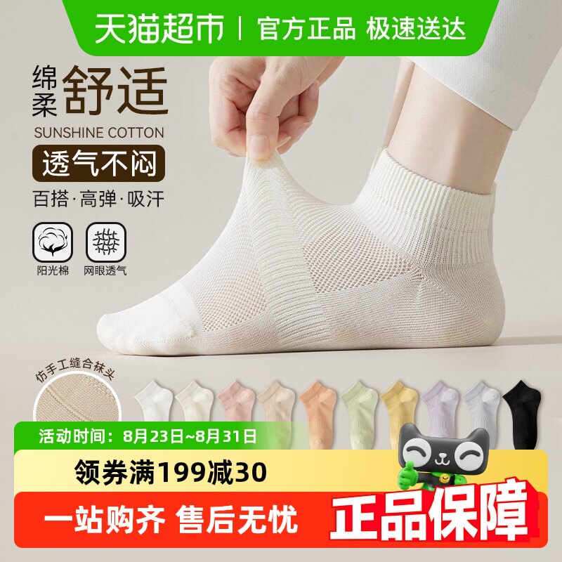 ���Ϲ�����Ů�������ļ�����2025�¿ɫ������͸������Ůʿ����