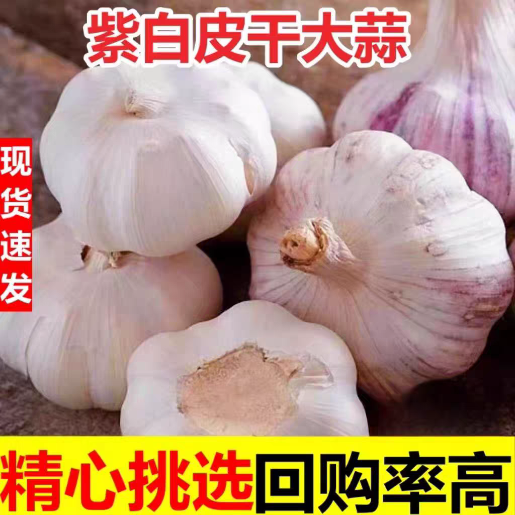 甄选金乡大蒜新鲜干大蒜头干蒜籽2025当季蔬菜批发紫白皮优质蒜