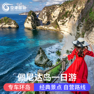 巴厘岛佩妮达岛蓝梦岛一日游佩尼达浮潜深潜船票包车东西线环岛游