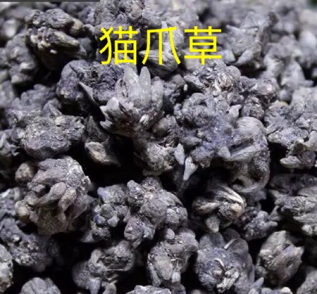 中药材  猫爪草 水洗小猫爪草 养生堂品质每份500克包邮