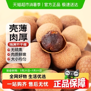 西域美农桂圆干500g肉厚核小开袋即食特产龙眼干货泡茶煲汤