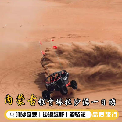 银肯塔拉沙漠一日游丨自家发团丨纯玩丨可选2-8人精品小团