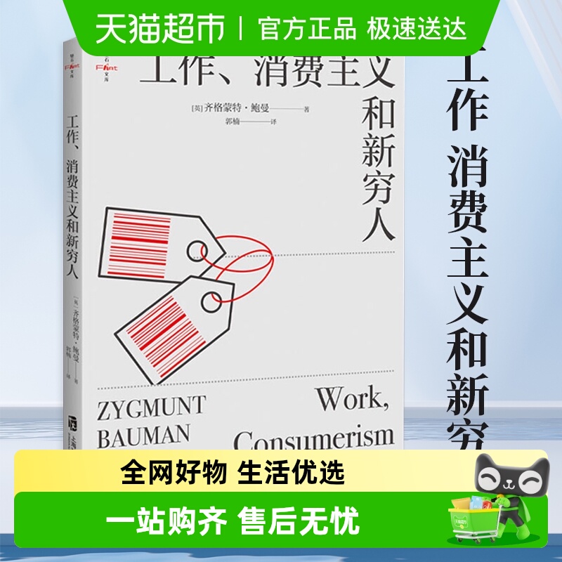 工作消费主义和新穷人社会书籍