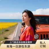 青海旅游包车青海一日游青海湖日月山 岗什卡包车一日游 茶卡盐湖