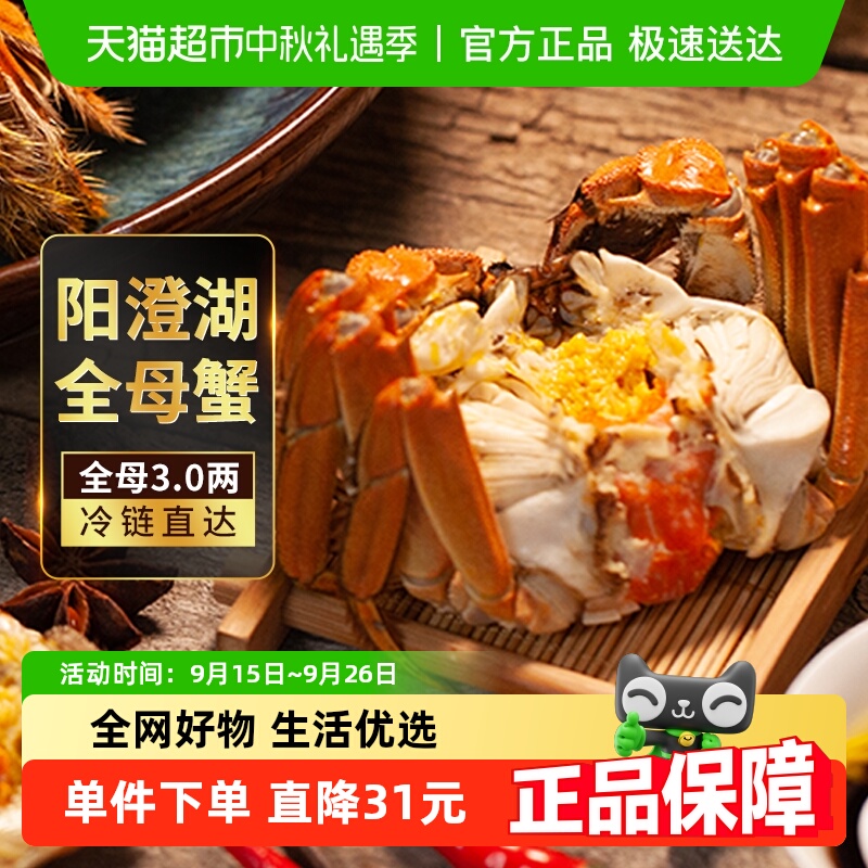 ззκբзʻзȫĸ3.0*8ֻֻ