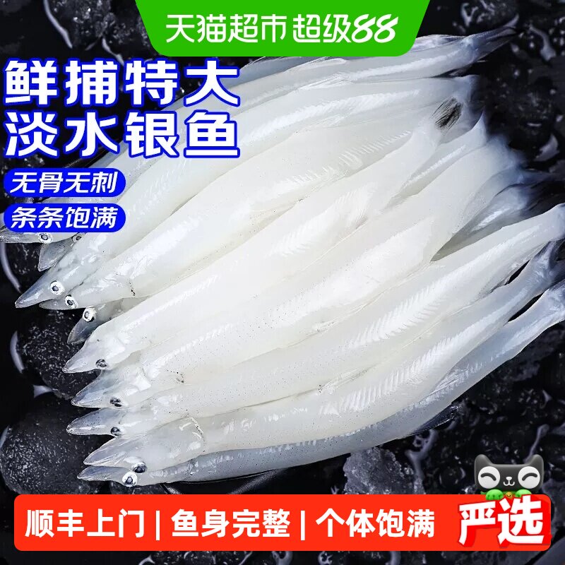 青岛大银鱼冷冻个体饱满健康营养图片