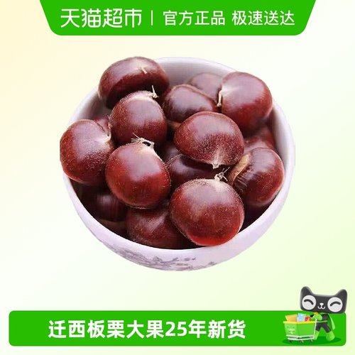 新鲜板栗河北油栗大果现货正宗