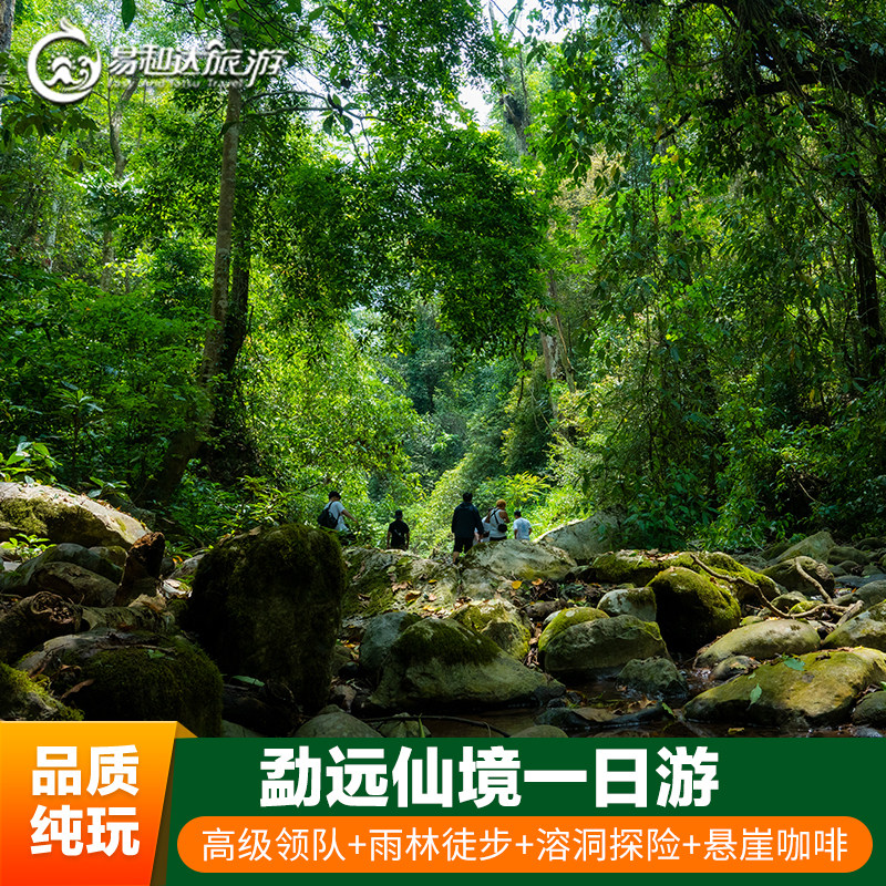西双版纳勐远仙境雨林徒步一日游(雨林穿越+大餐+溯溪竹筏荡秋千)