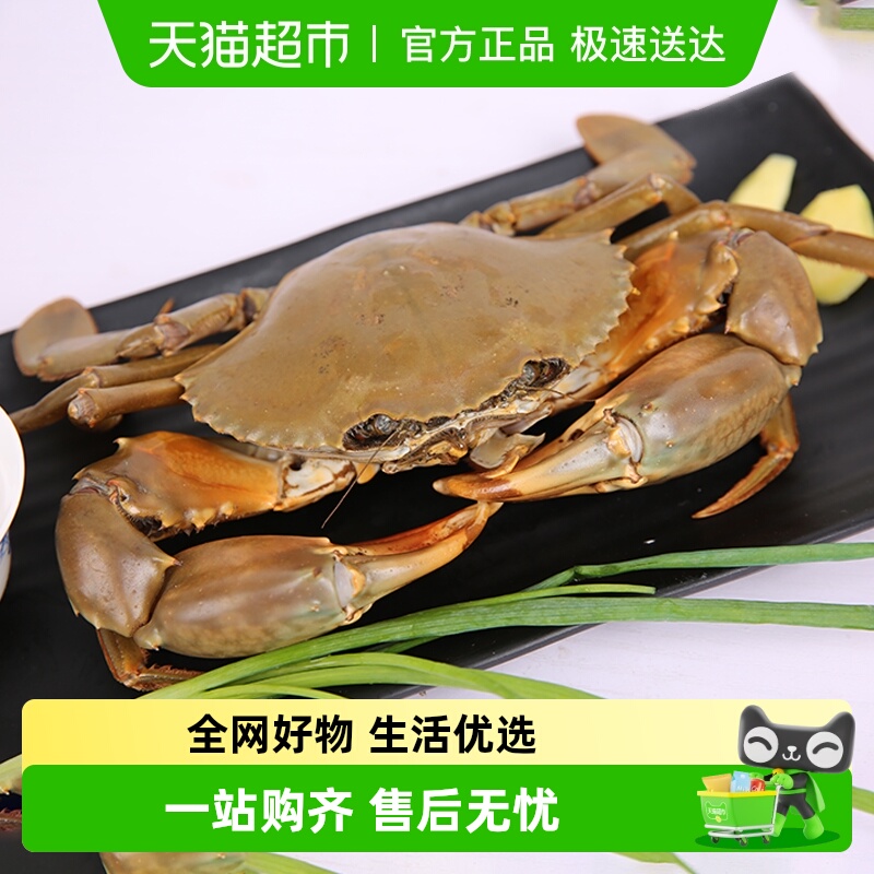 渔传播包活包肥三门青蟹膏蟹顺丰