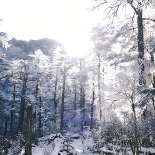 成都至康定木格措木雅圣地跑马山海螺沟折多山一日游 往返直通车