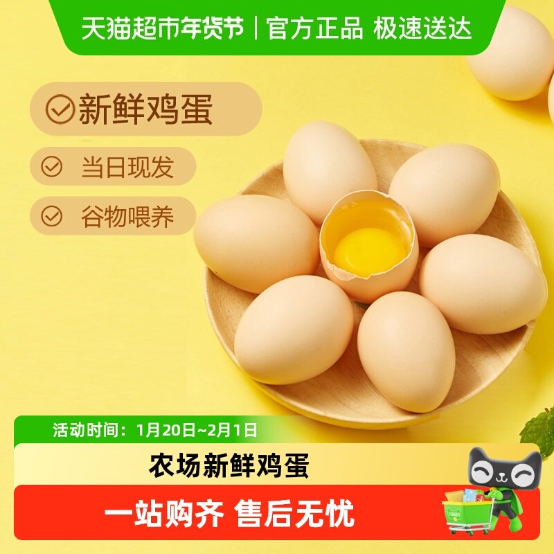 口袋饱饱新鲜鸡蛋柴鸡蛋笨鸡蛋谷物草鸡蛋,水产肉类/新鲜蔬果/熟食,鸡蛋,淘宝优惠券,粉丝福利购,淘宝优惠卷