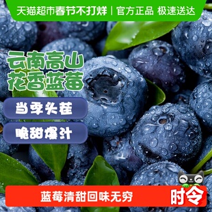 云南高原花香蓝莓新鲜水果当季整箱鲜果现摘