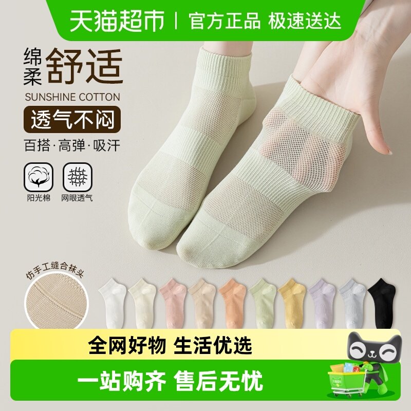 ���弾����Ů�����ļ�����2025�¿��������������͸����Ͳ�� 18.8Ԫ