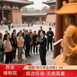 西安博物院+小雁塔2小时深度讲解·含门票+场次可选+解锁千年历史