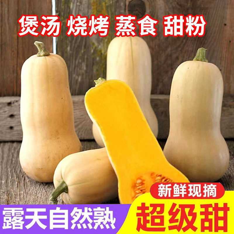 新鲜南瓜正宗奶油小南瓜一整箱营养健康甜糯细腻婴儿孕妇小孩可吃