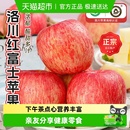 正宗陕西洛川苹果脆甜多汁红富士苹果 下拉详情领补贴