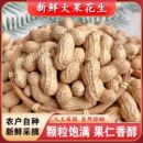 2025年新货带壳生花生5斤新鲜干花生种子高产榨油炒熟花生粉红皮