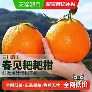 柠满园正宗四川眉山春见耙耙柑当季新鲜水果应季桔子粑粑柑橘子