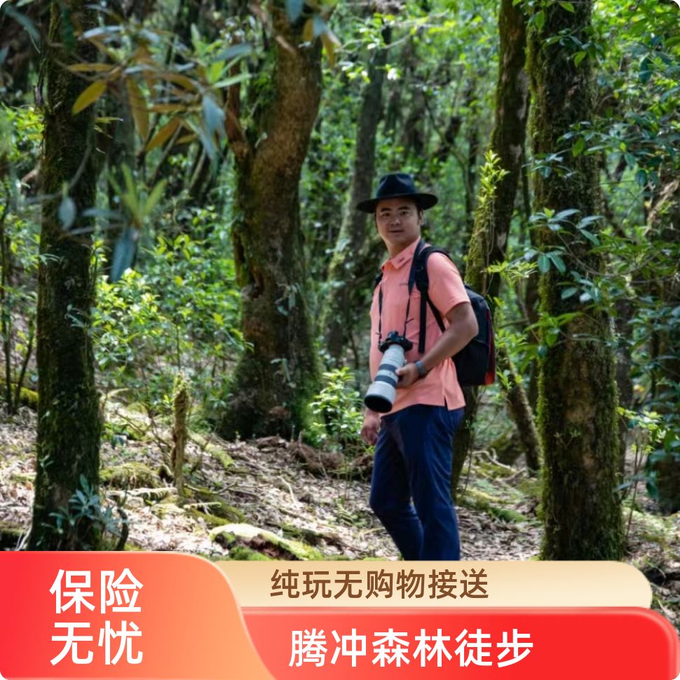 腾冲高黎贡山一日游