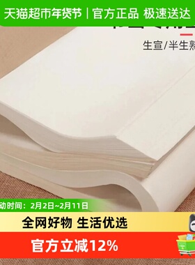 宅小仙宣纸美术国画专用作品纸初学者书法小楷入门练习纸仿古生宣