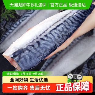 鲭鱼新鲜冷冻大号鲐鲅鱼烧烤商用 10片 青花鱼片挪威进口2斤
