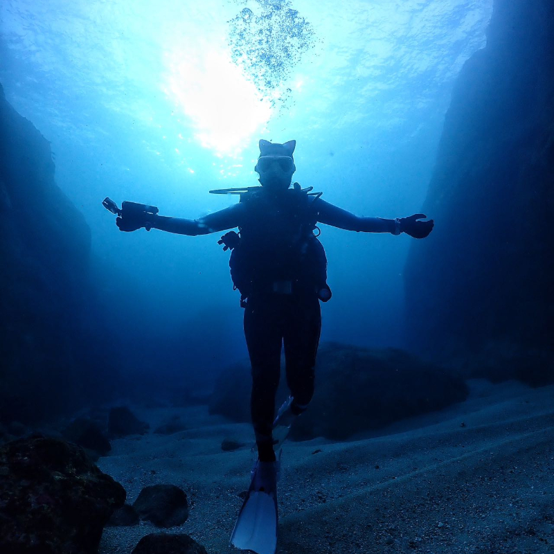 双帆石，分界洲，Sand Reef，这里满足您对潜水的所有想像 小众岛屿玻璃海潜水，水下摄影，多种玩乐项目嗨玩一天 水下礁石、崖壁、4月中下旬开始一直到7月下旬还持续会有沙丁鱼群 专业教练带潜，每一位教练都是PADI认证，为您潜水行程保驾护航