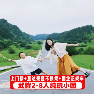 8人小团重庆旅游武隆天坑地缝仙女山解放碑一日游纯玩跟团门票