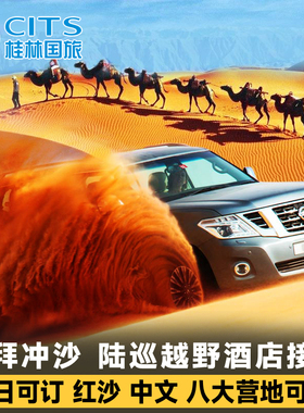 迪拜沙漠红沙冲沙 网红营地 手绘表演骑骆驼晚餐半日迪拜包车旅游