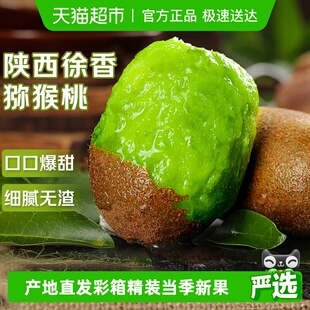 陕西徐香绿心猕猴桃新鲜水果正宗眉县奇异果特大果王礼盒产地直发
