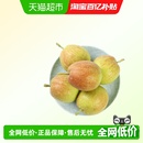 库尔勒香梨新鲜水果当季 脆甜多汁