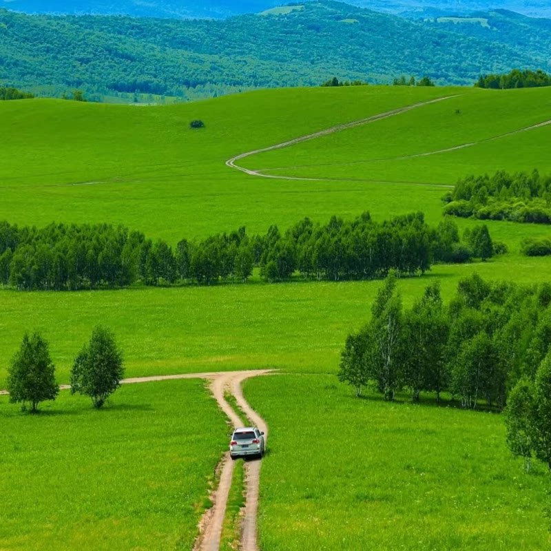 内蒙古呼和浩特市希拉穆仁草原一日游草原旅游团建游学骑马牧场