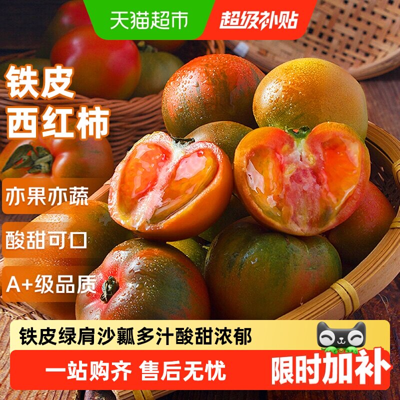 正宗丹东铁皮西红柿东北新鲜绿腚水果番茄碱地草莓柿子