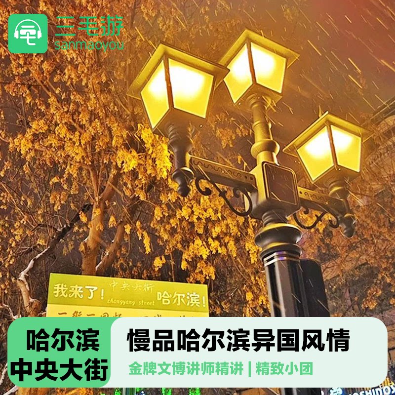 哈尔滨中央大街一日游纯玩小团