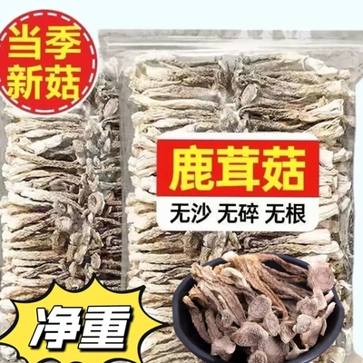 滋补养生汤料特色养生干货