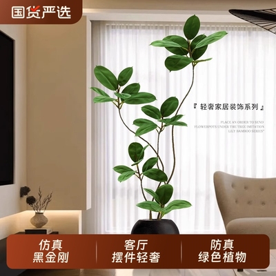 假绿植沙发旁装饰仿真黑金刚室内