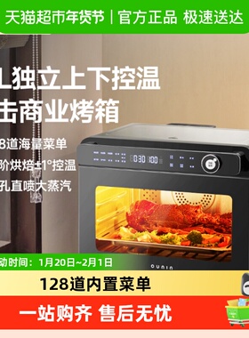 OUNIN欧宁小黑马32L蒸烤炸一体机台式家用蒸烤箱多功能烘焙空气电