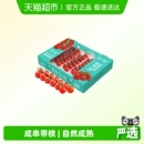 知翠串收樱桃小番茄自然熟新鲜水果生吃西红柿 李佳琦直播间